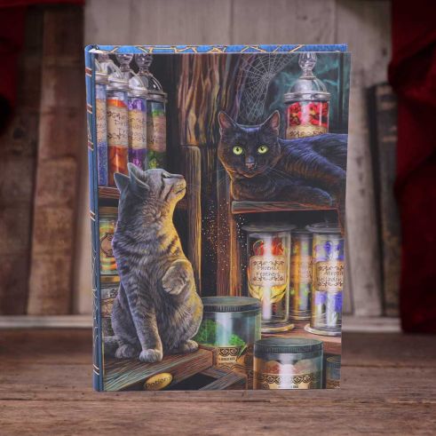 Lisa Parker Magical Emporium Journal – Nemesis Now