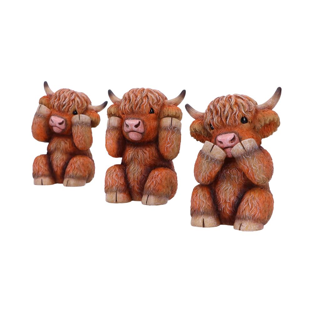 Three Wise Highland Cows - Nemesis Now