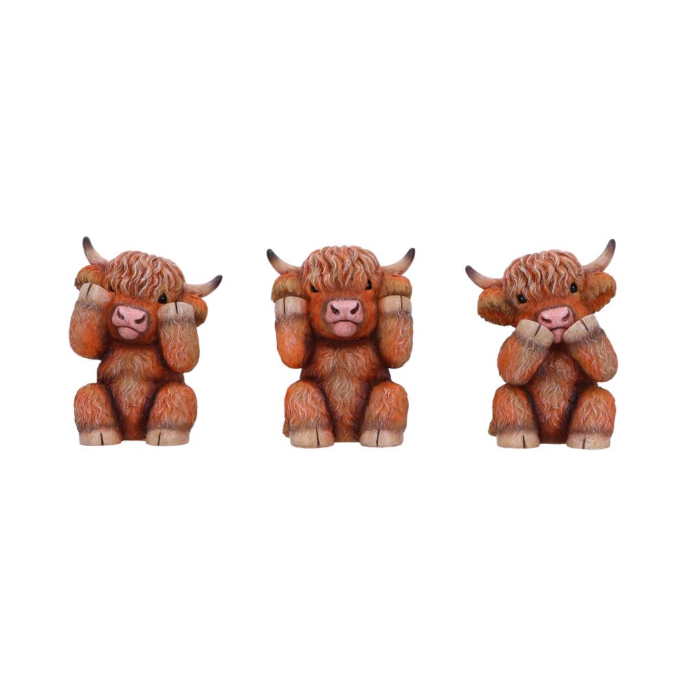 Three Wise Highland Cows - Nemesis Now