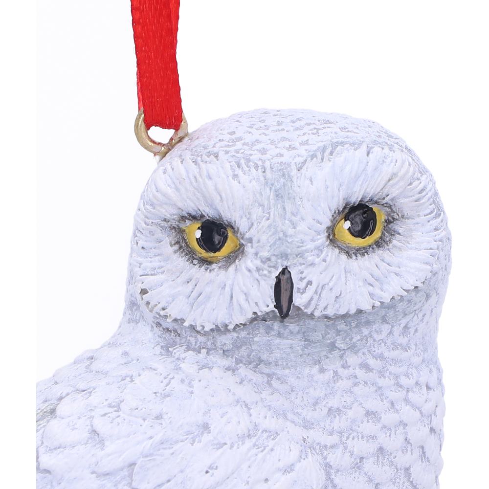 Harry Potter Hedwig's Rest Hanging Ornament - Nemesis Now