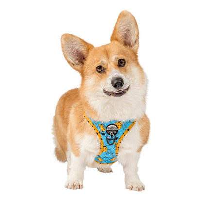 Sesame Street Cookie Monster Adjustable Dog Harness - Size S