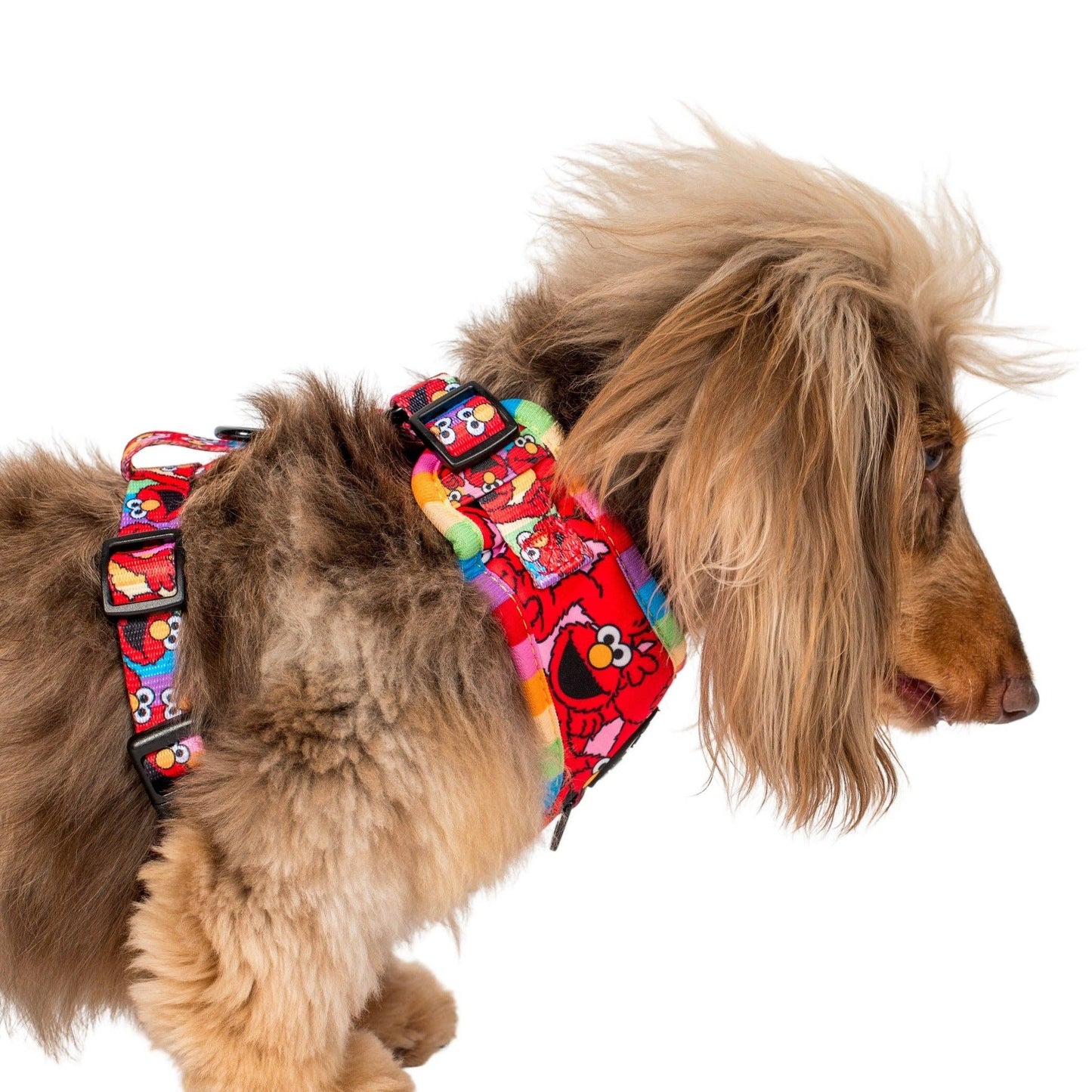 Sesame Street Elmo Adjustable Dog Harness - Size XL