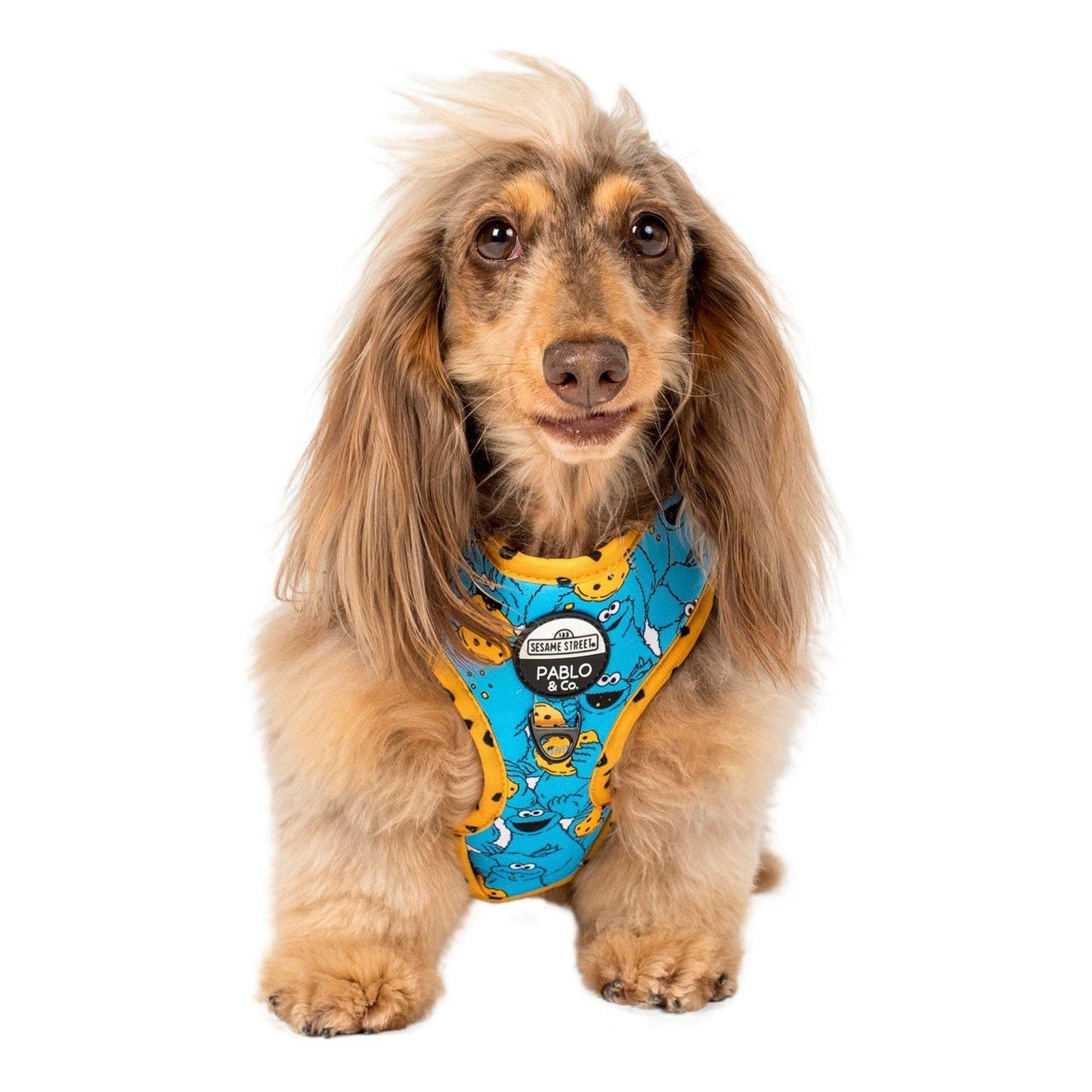 Sesame Street Cookie Monster Adjustable Dog Harness - Size XS