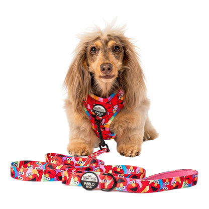 Sesame Street Elmo Dog Leash - Width 1.5 cm