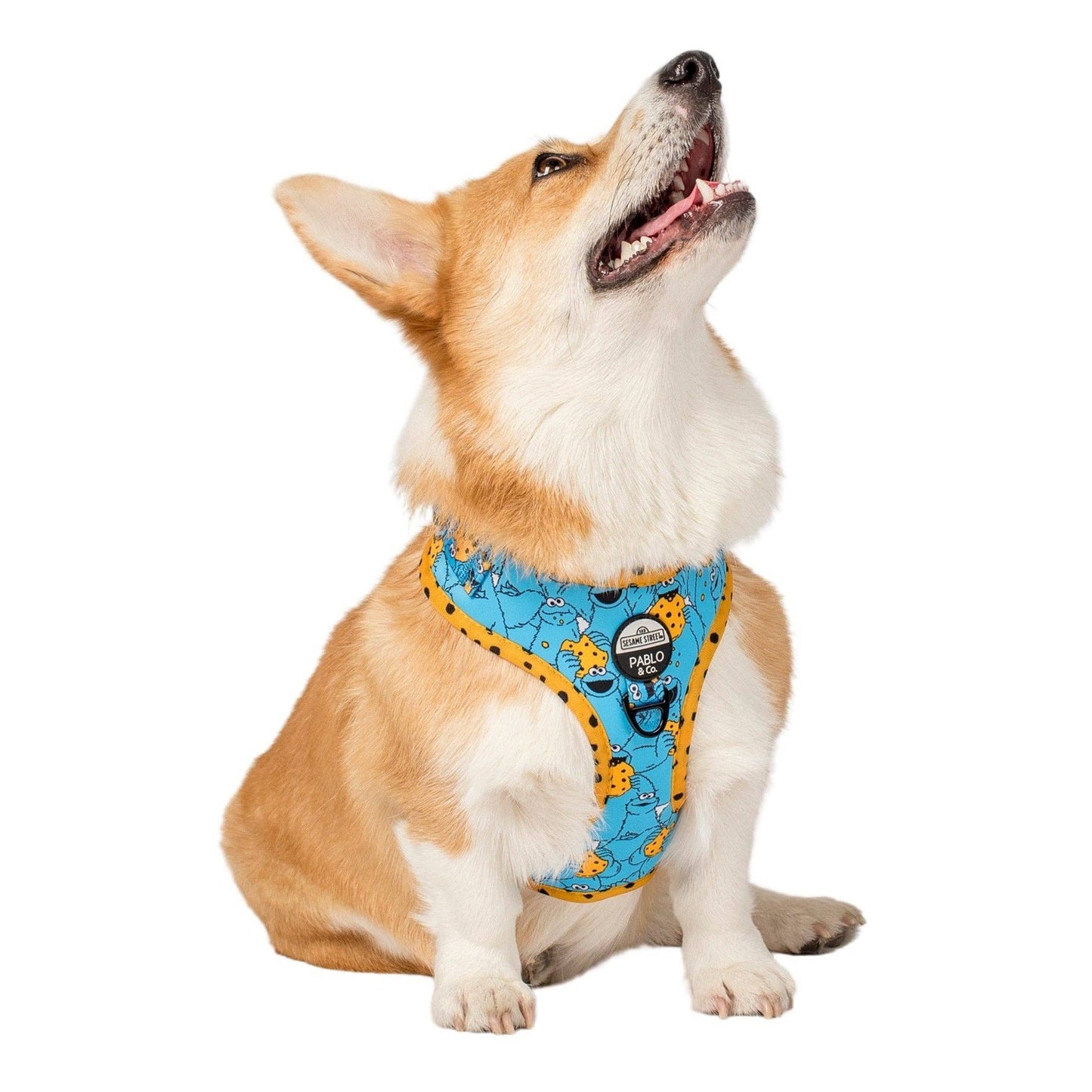 Sesame Street Cookie Monster Adjustable Dog Harness - Size S