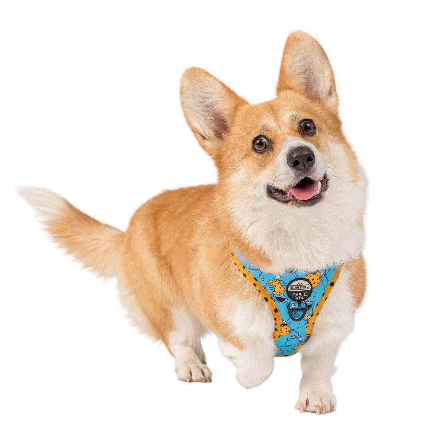 Sesame Street Cookie Monster Adjustable Dog Harness - Size S