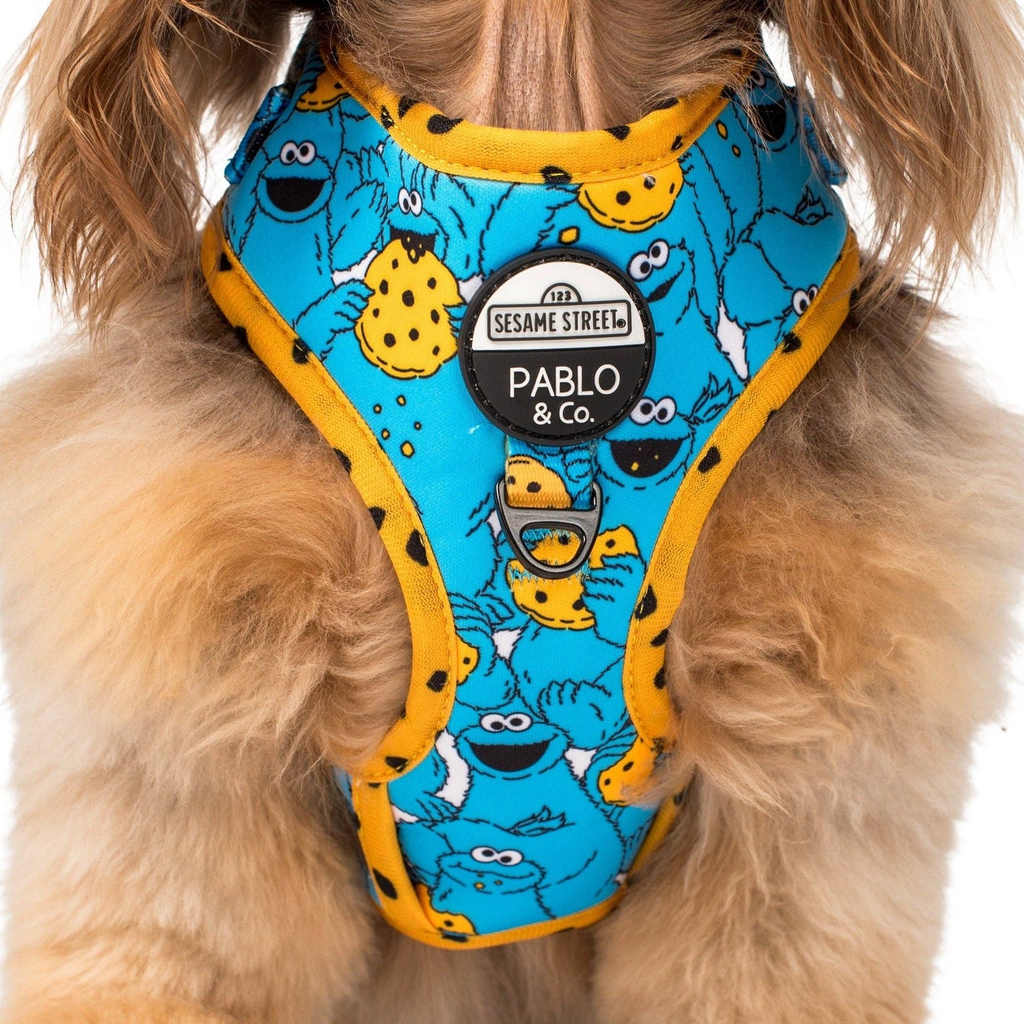 Sesame Street Cookie Monster Adjustable Dog Harness - Size S