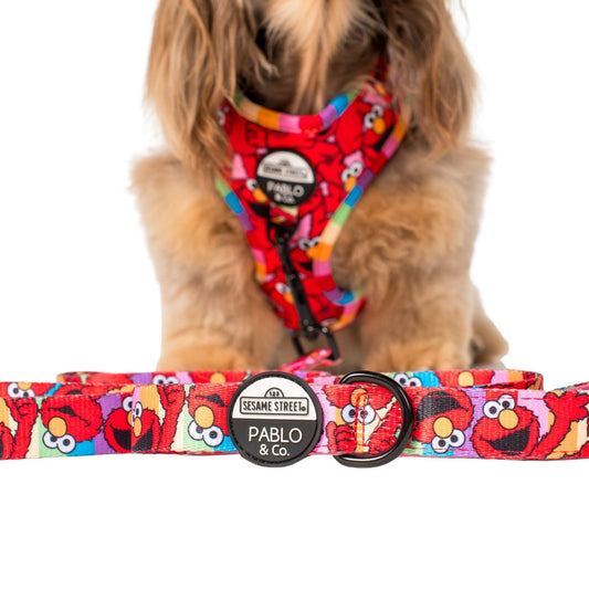 Sesame Street Elmo Dog Leash - Width 2.5 cm