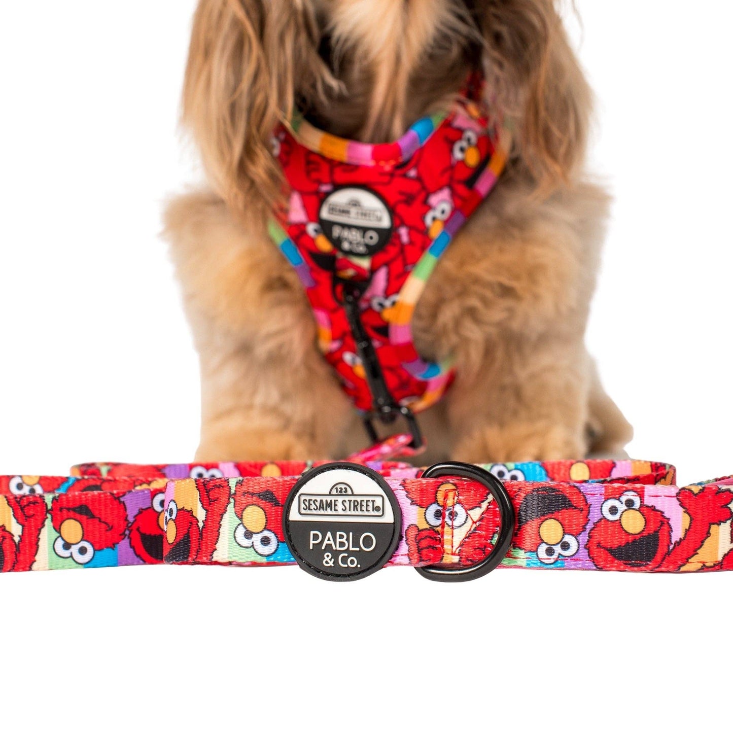 Sesame Street Elmo Dog Leash - Width 1.5 cm