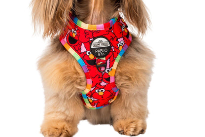 Sesame Street Elmo Adjustable Dog Harness - Size XL