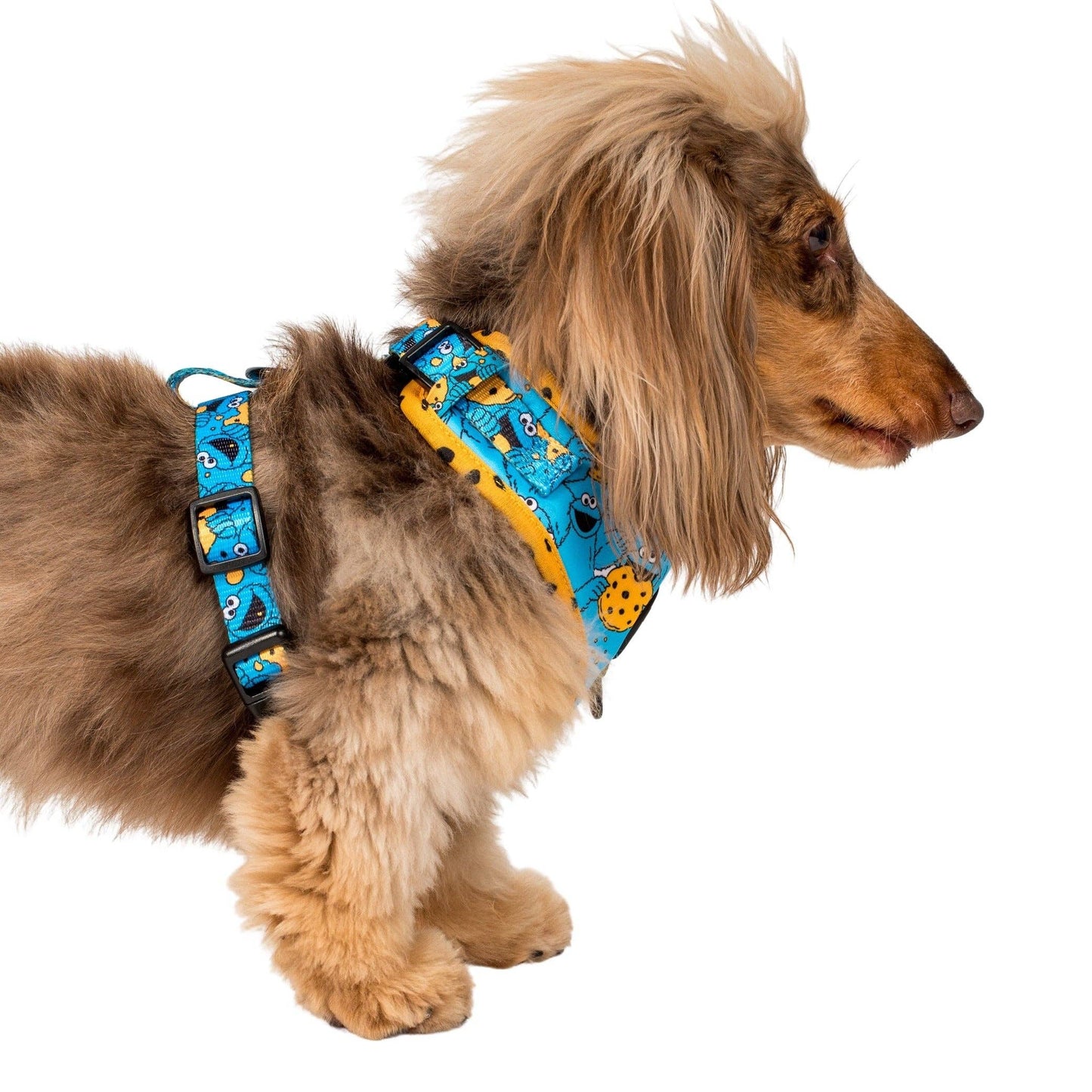 Sesame Street Cookie Monster Adjustable Dog Harness - Size XXS