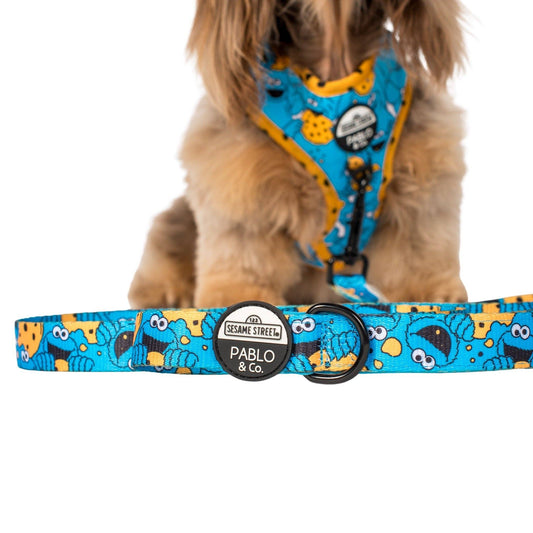 Sesame Street Cookie Monster Dog Leash - Width 2.5 cm